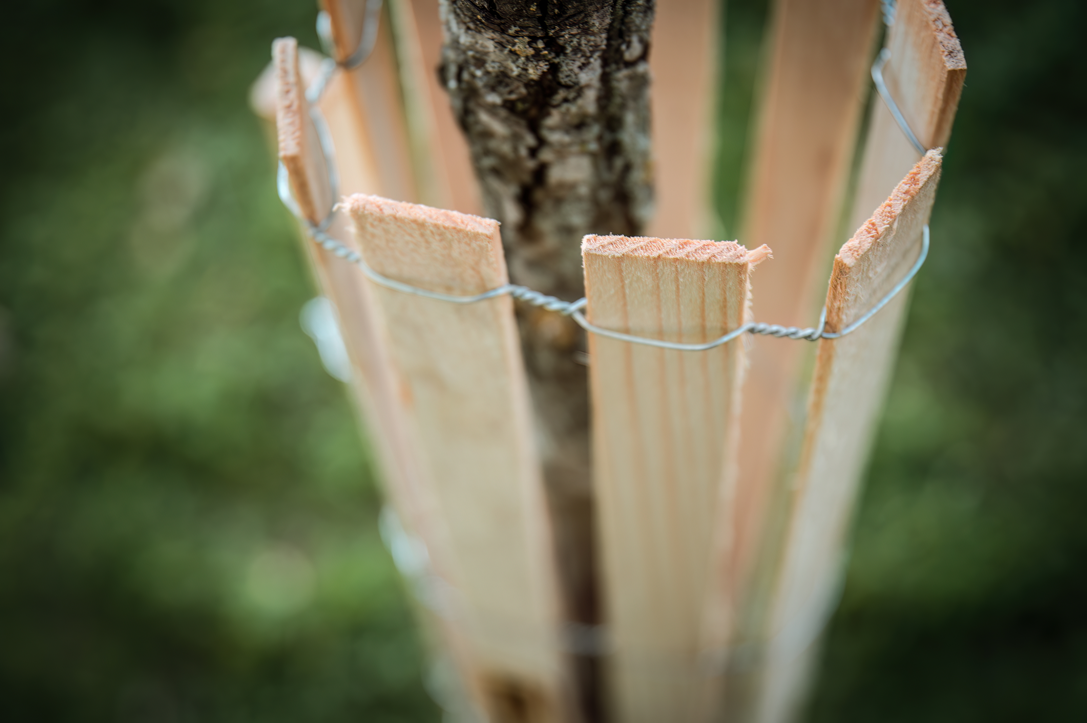 Baumschutz aus Holz inklusive Akazienpflock